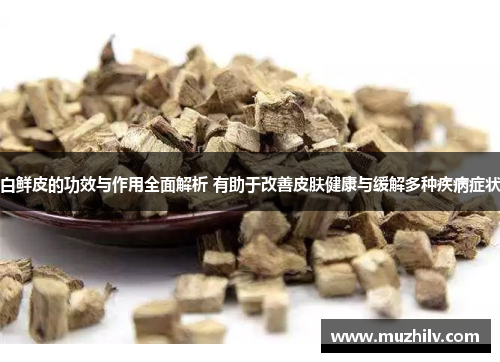 白鲜皮的功效与作用全面解析 有助于改善皮肤健康与缓解多种疾病症状