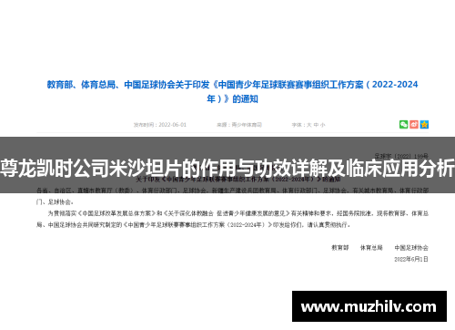 尊龙凯时公司米沙坦片的作用与功效详解及临床应用分析