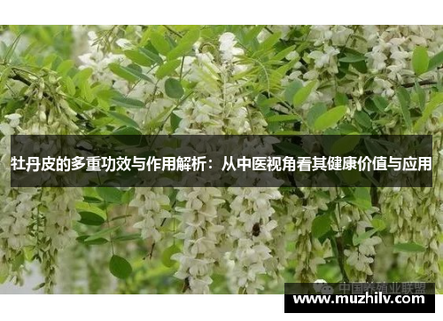 牡丹皮的多重功效与作用解析：从中医视角看其健康价值与应用