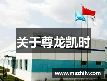 关于尊龙凯时